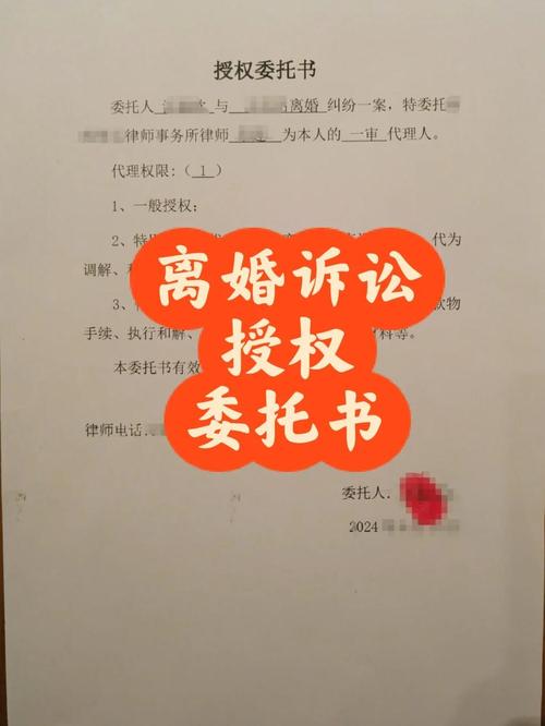 《离婚律师》中代理模式如何应用于其他法律案件代理？