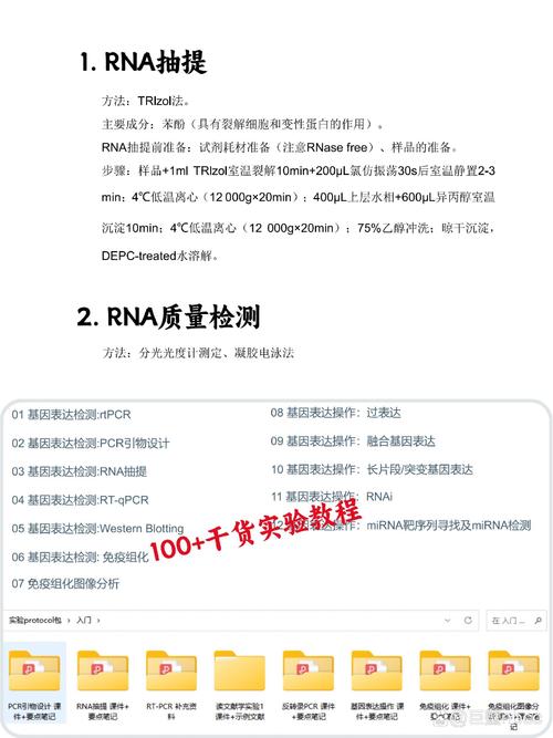 Snort中如何运用pcre进行高效的正则表达式匹配？