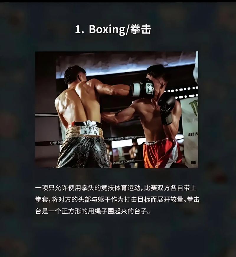 哪种格斗项目与哪种格斗项目在技巧和规则上有什么不同之处？