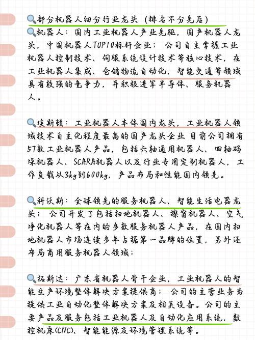名优SEO，未来领航者，哪家是真正的行业佼佼者？