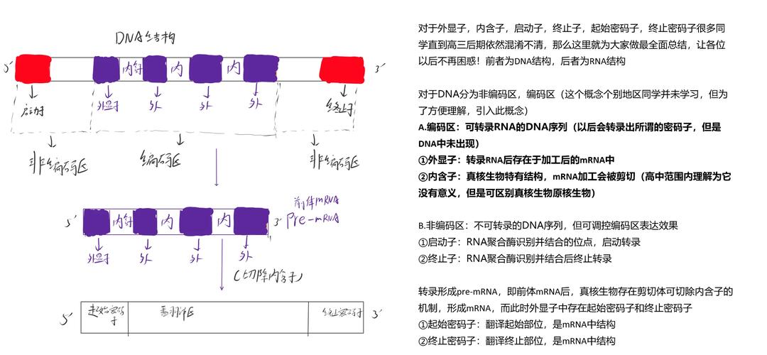 PHP的serialize()与unserialize()不完全研究，有哪些细节需要注意？