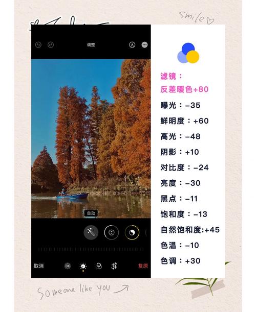 如何用Python实现图片滤镜效果的高级技巧？