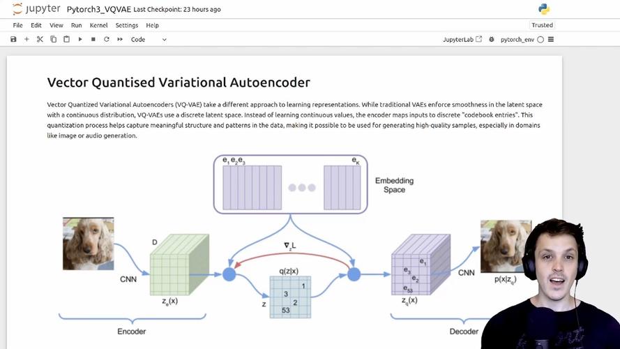 vector在编程中具体应用场景有哪些？