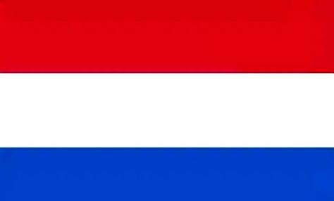 如何将快速排序、归并排序、小和问题、逆序对问题、荷兰国旗问题改写为长尾关键词？