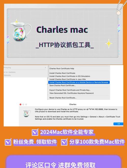 网络抓包工具中，哪款专业工具在业界口碑最佳？