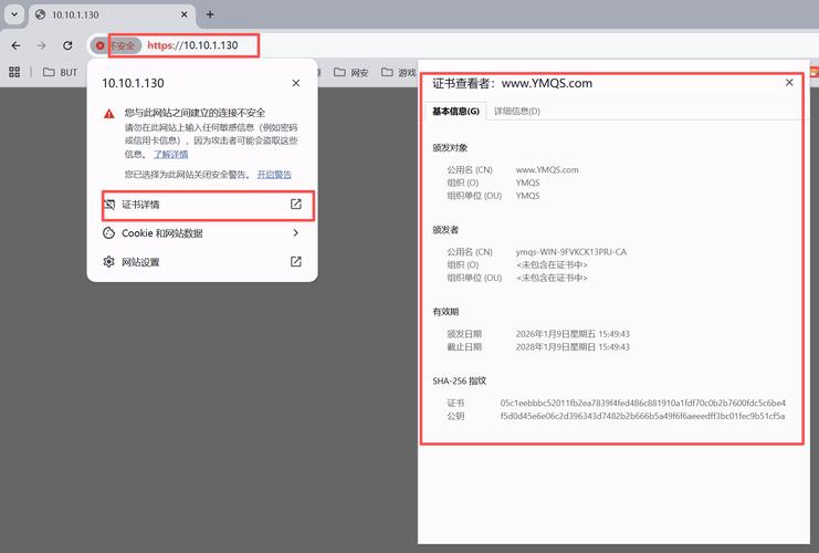 PyCharm的有效期限信息在何处可以查询？