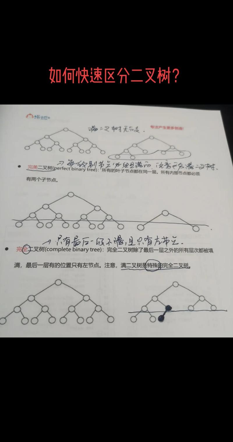 三分钟内能全面了解树和二叉树的区别吗？