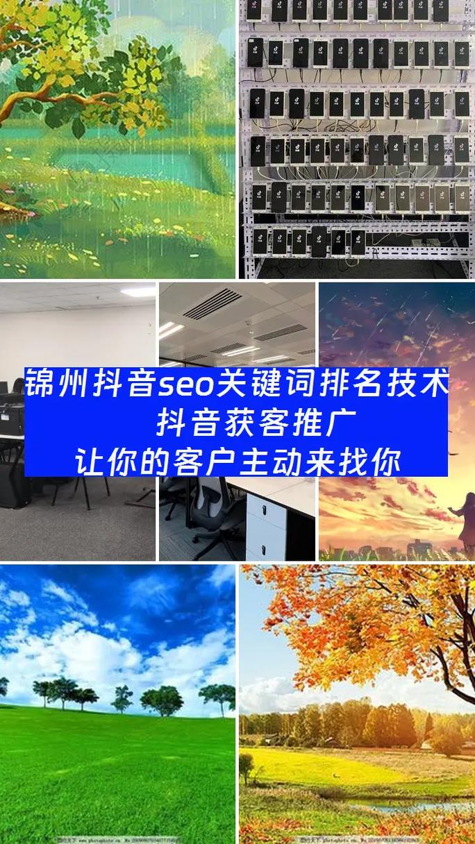 锦州SEO优化价格透明，哪家服务更实惠呢？