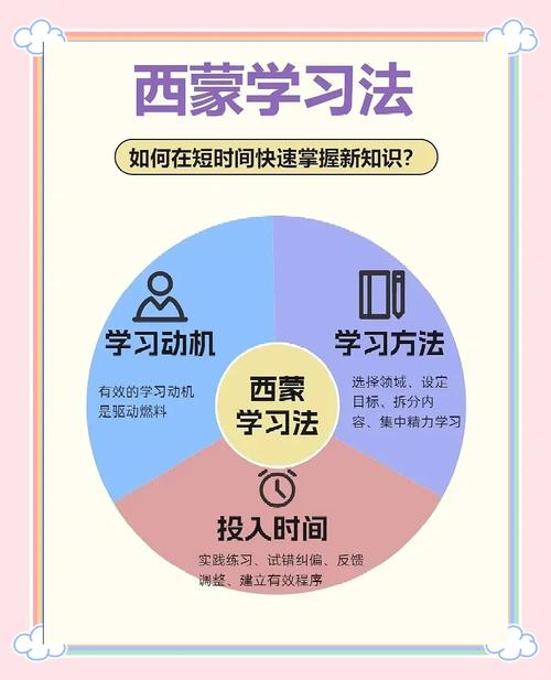 泉州SEO高效学习法有哪些技巧和步骤？