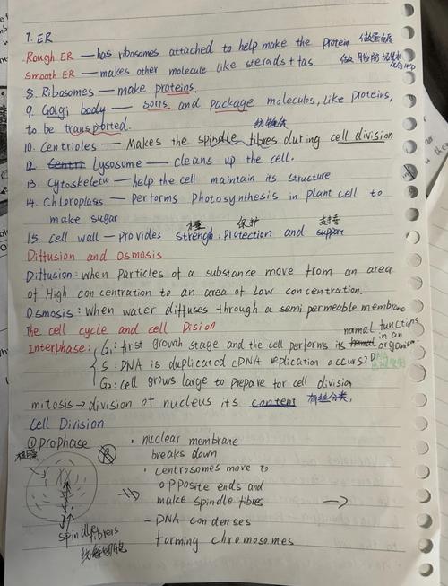 网络瘤24题练习笔记如何制作？
