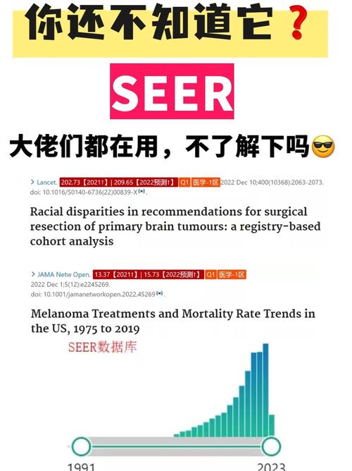 揭秘网站浏览数据统计背后的秘密，你好奇吗？