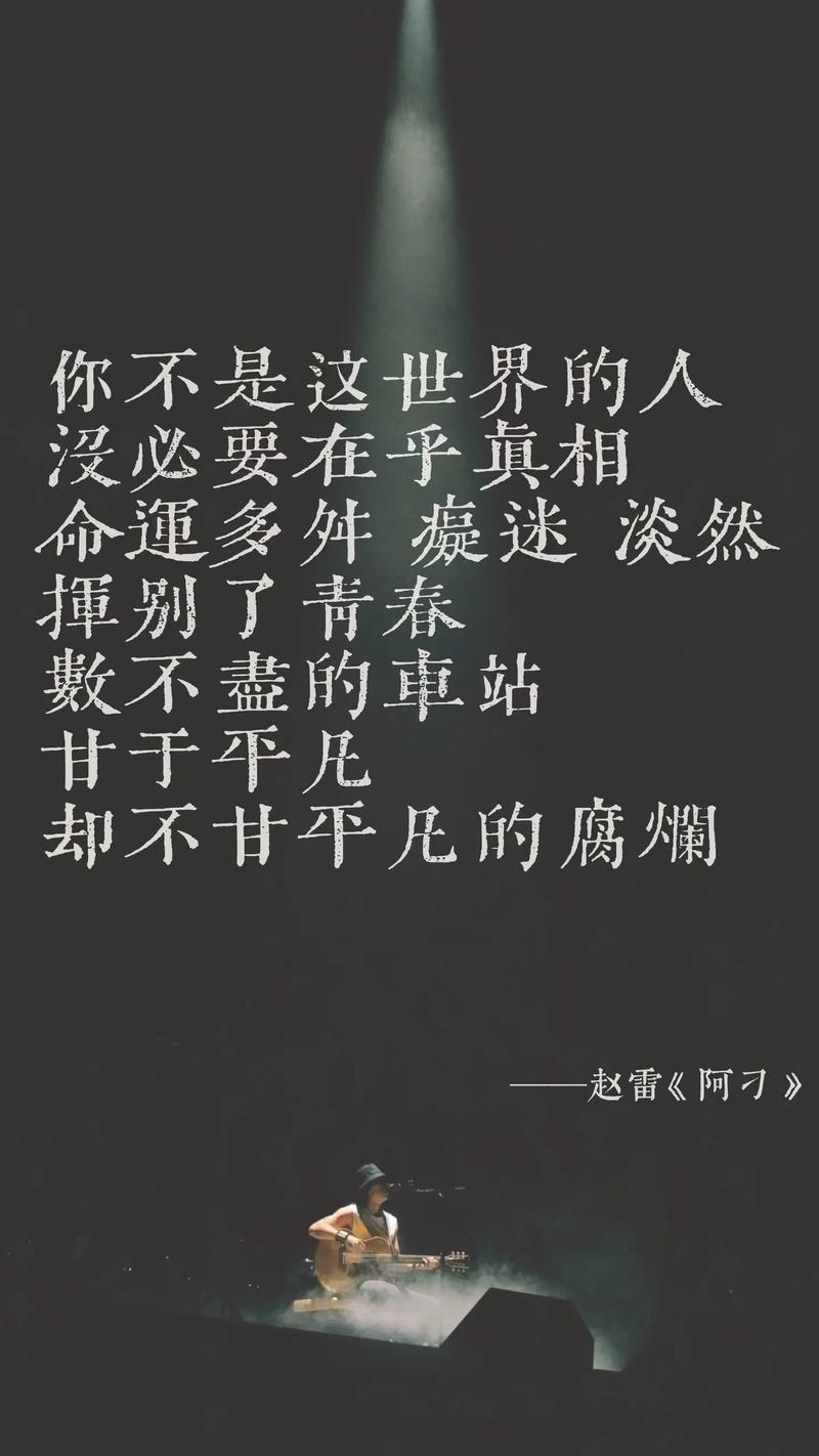 你男朋友为何要搜集赵雷的歌词呢？