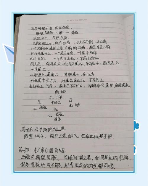 张至顺道长自述中提到的养生秘诀是什么？