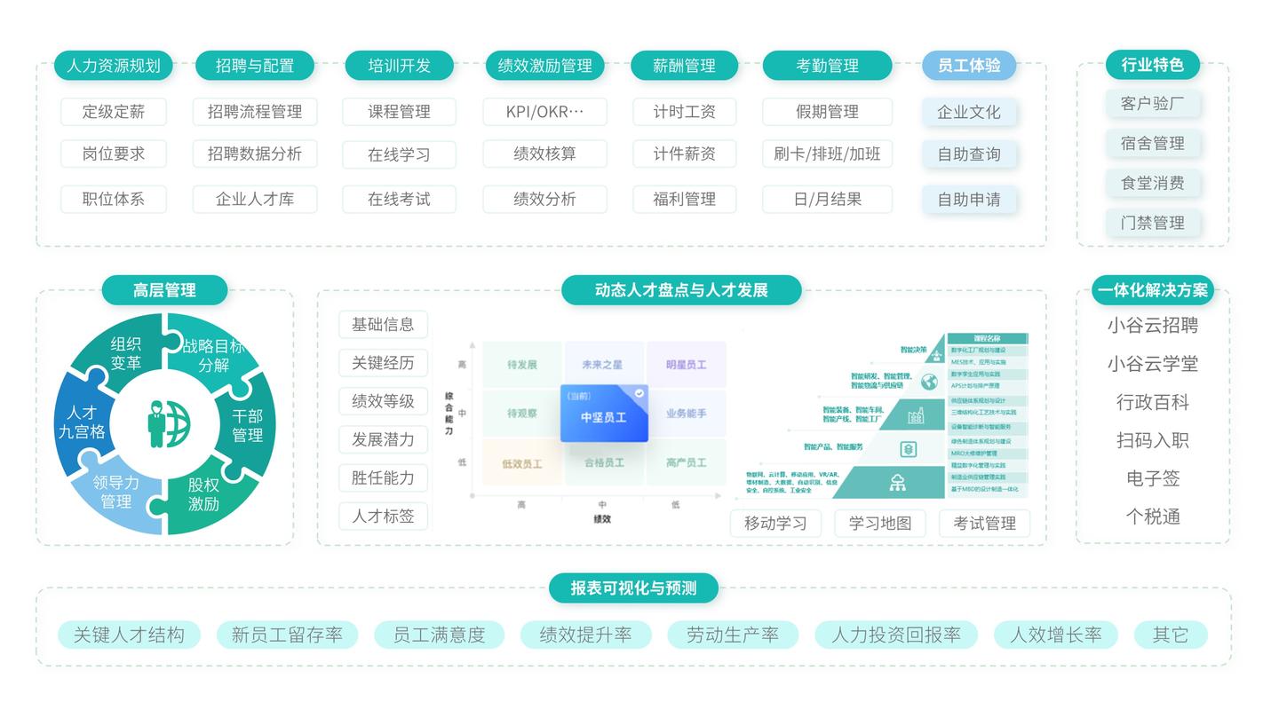 如何查询具体的人力资源管理SaaS定制化解决方案在市场上的排名情况？