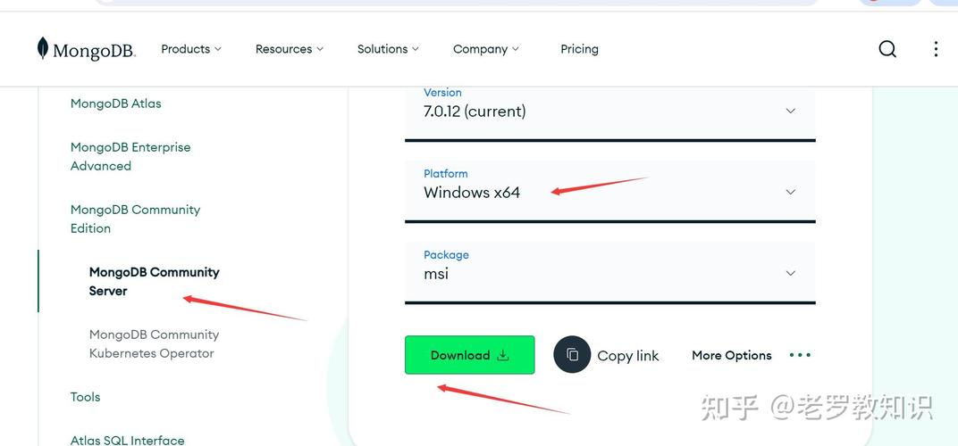MongoDB在Windows系统下如何下载安装并使用可视化工具进行数据管理？