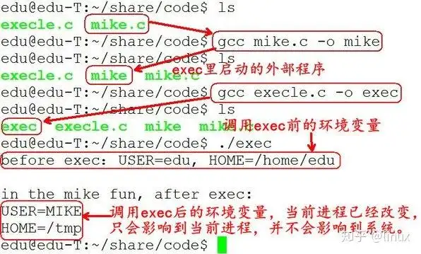 如何使用exec函数族实现复杂命令或脚本执行？