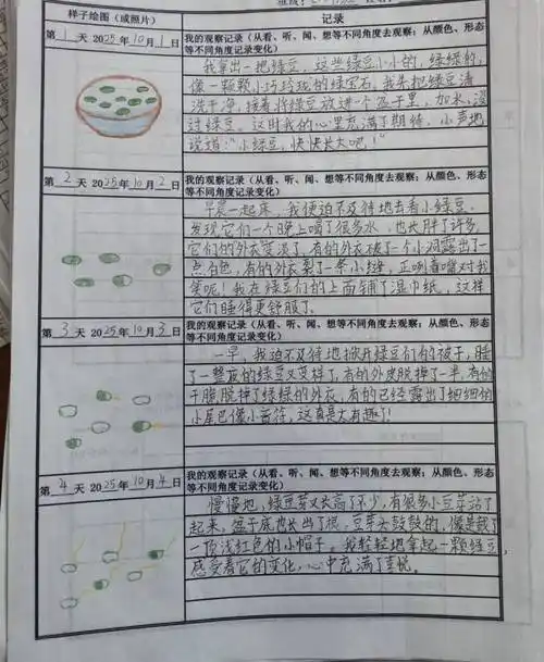 第十至十六周，BLOG_3的内容有何特色或亮点？