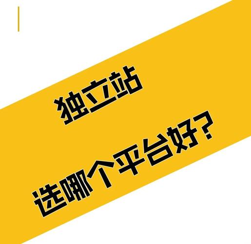 独立站投放平台有哪些常见的选择？