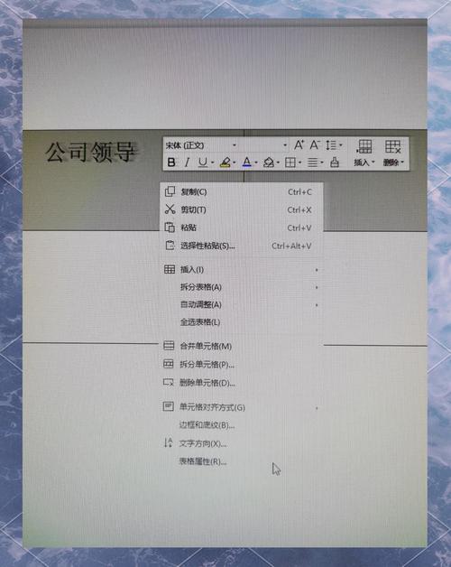 Delphi中如何精确调整TEdit控件文本的垂直居中位置？