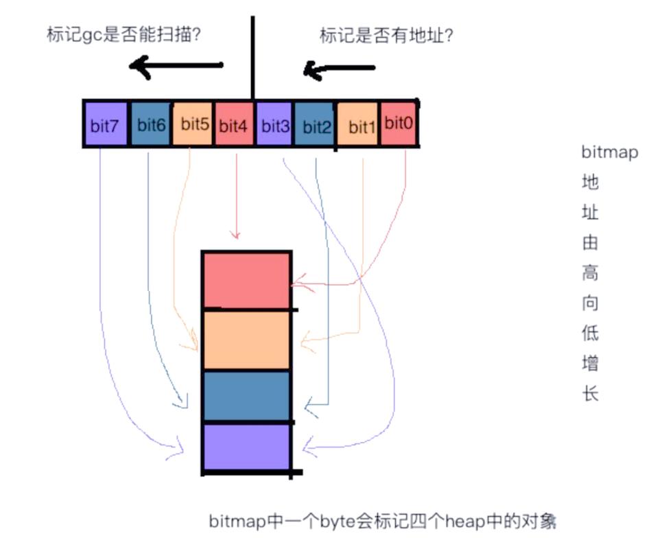 Go语言中，内存分配的机制是怎样的？