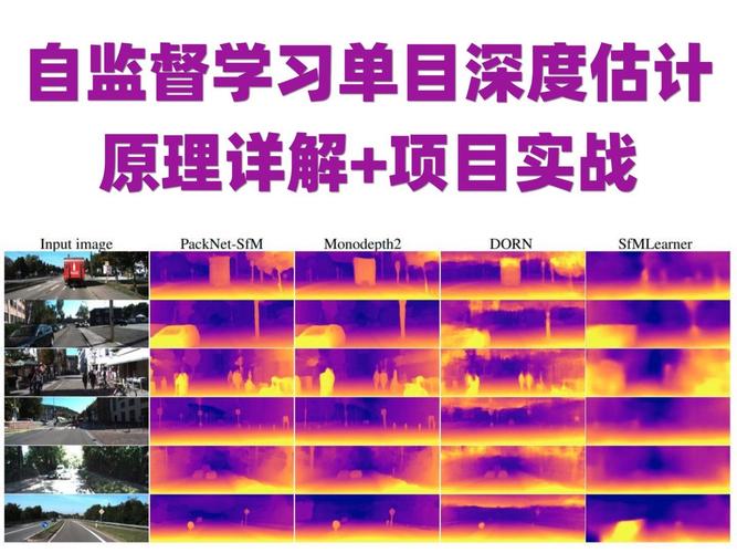 Monodepth2在自监督单目深度估计领域的研究，是否已深入至长尾词的解析与应用？