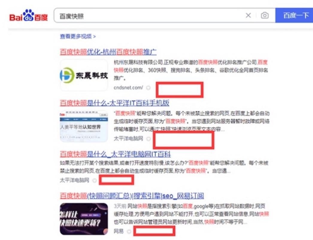 为什么我的网站快照停滞不前，搜索引擎更新速度如此缓慢？