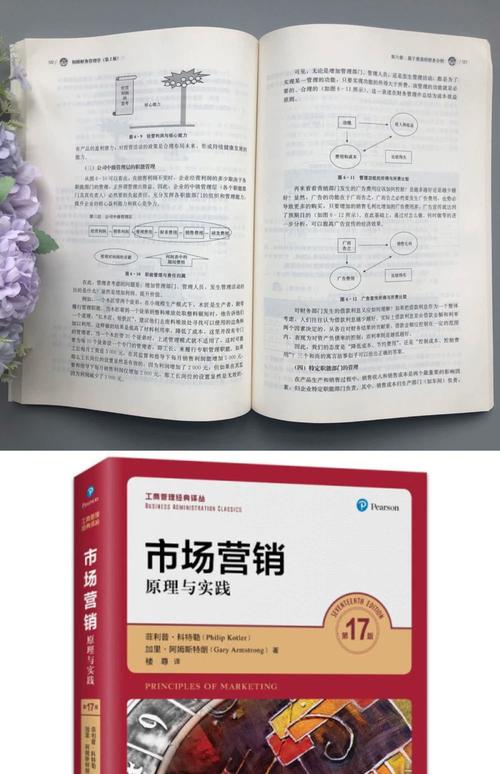 有哪些营销型网站建设专业书籍值得探索与解读？