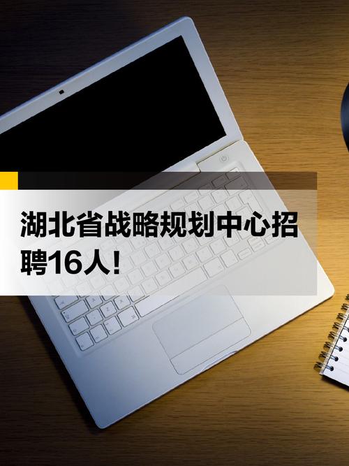 武汉独立站招聘官网首页如何通过战略定位、核心模块优化实现高效转化？