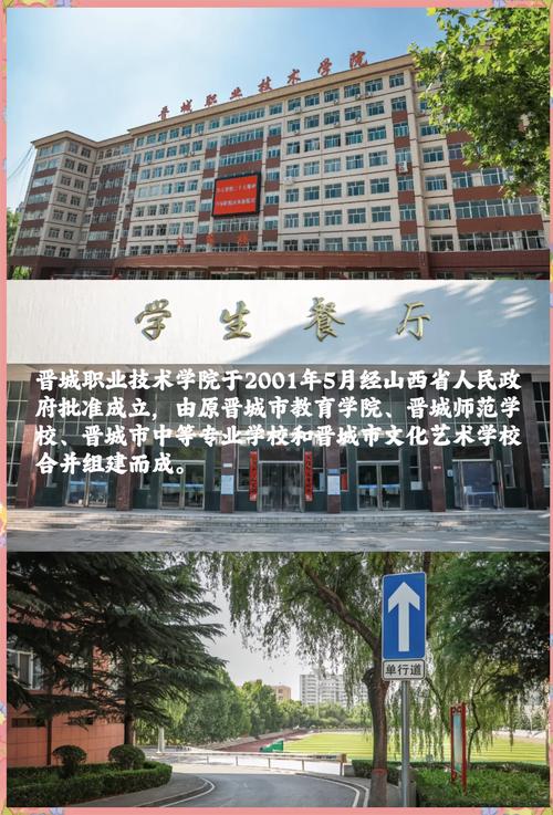 晋城专业技术学院在网站建设行业深度排名和解析方面有何独特优势？