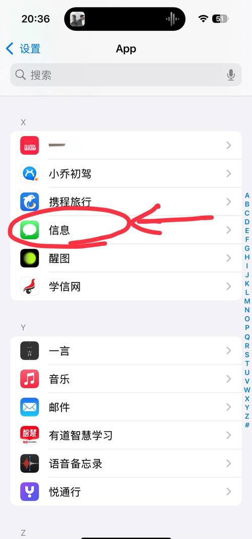 iPhone通话时屏幕变黑怎么办？