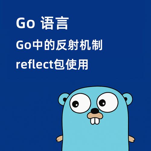 Go语言系列37：反射如何应用于长尾词处理？