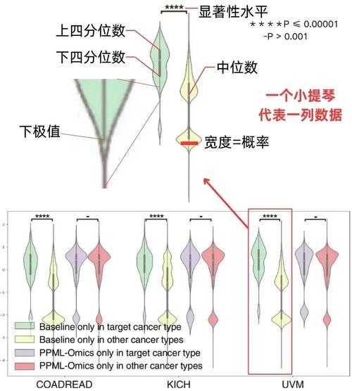 音乐节的数据库是什么样的结构？