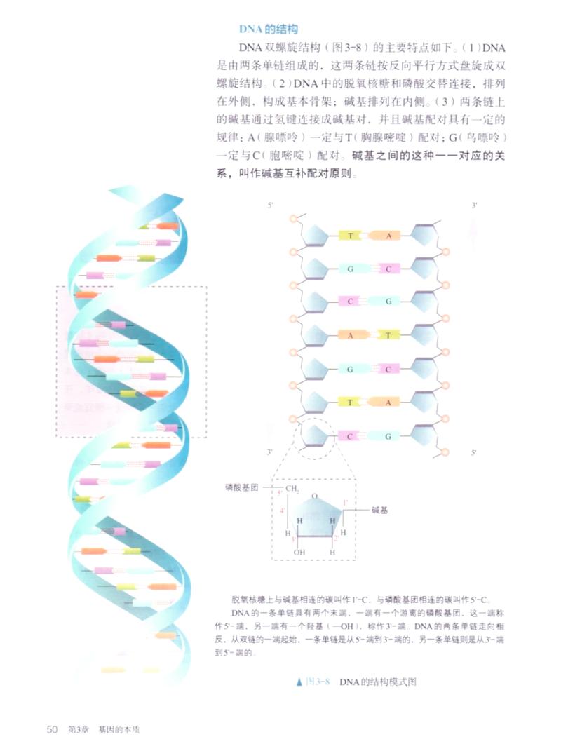 数据库中初步确认的DNA信息具体代表什么生物学特征？