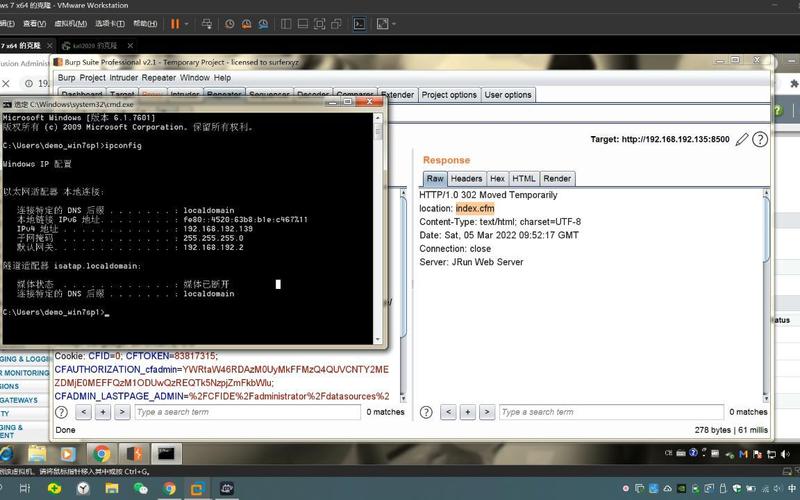 CVE-2010-2861漏洞的详细修复措施是什么？