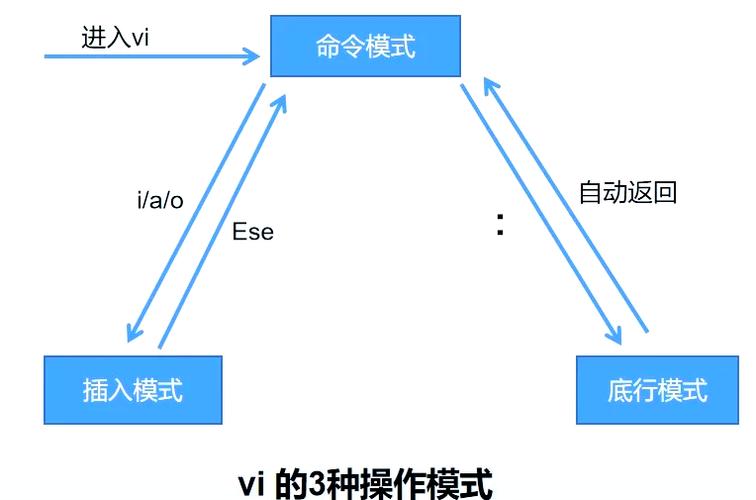 如何高效使用vi编辑器的长尾词操作技巧？