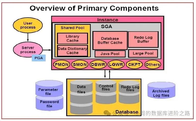 如何深入了解Oracle数据库的体系结构？