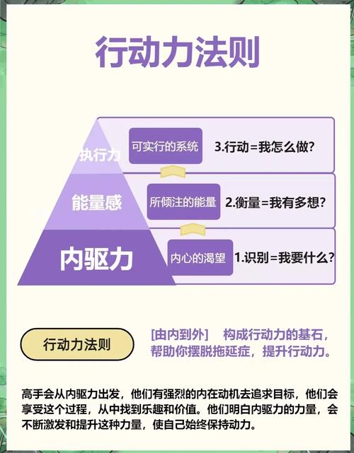 根据不同条件，你将如何选择行动路径？