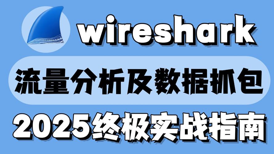 Wireshark如何从基础过滤器到精通数据包解析？
