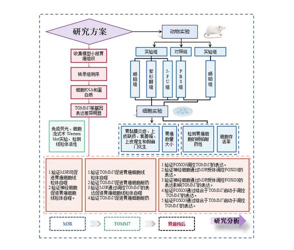 如何通过节点表示学习提升图中的节点表征（N2N）论文解读？
