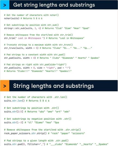 scanf与getchar之间有何本质差异，竟导致编程实践中选择差异如此之大？