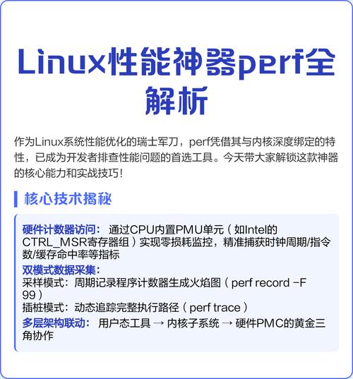 如何高效使用perf性能分析工具进行分享交流？