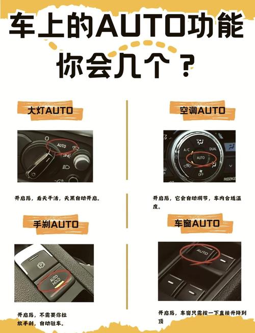 auto是什么意思，能否详细解释一下这个词汇的含义？