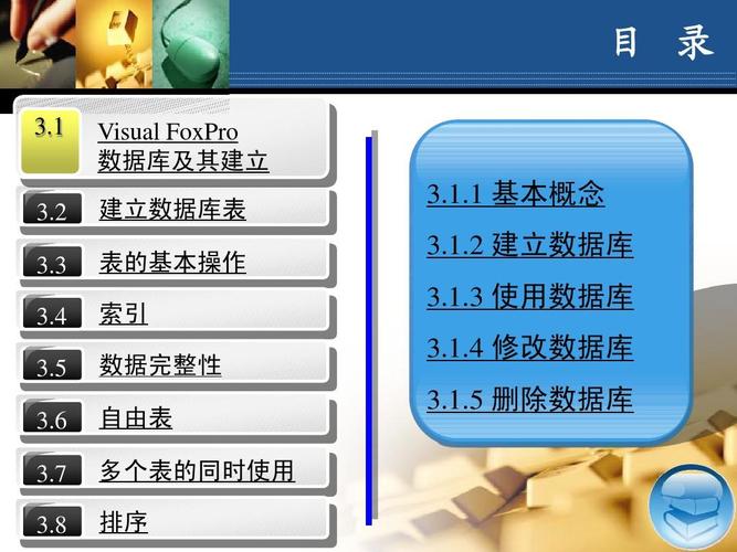 VFP数据库主要应用在哪些特定场景中？