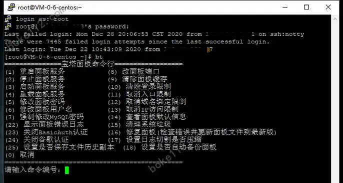 如何使用宝塔面板启动Java项目命令行？