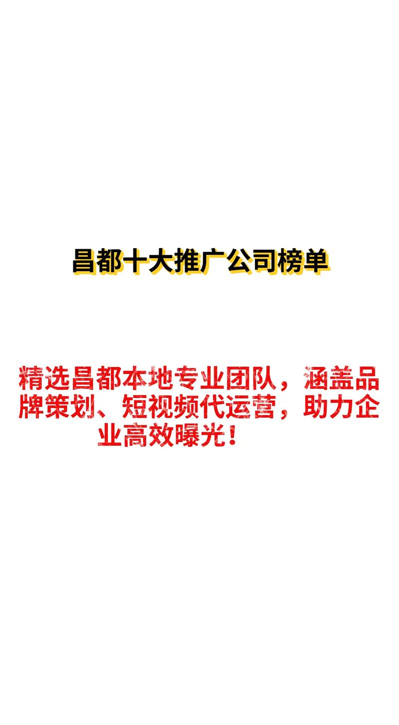 昌都SEO内优化专家是哪家公司？