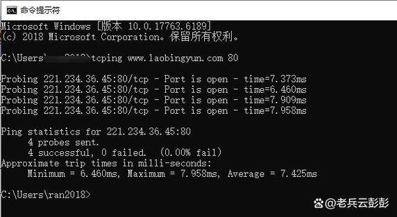 VisualSVN Server安装时，提示指定TCP端口被占用，这个端口到底是谁在用呢？