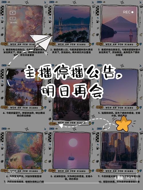 主播停播是否真的需要谨慎，随意断播的做法是否可行呢？