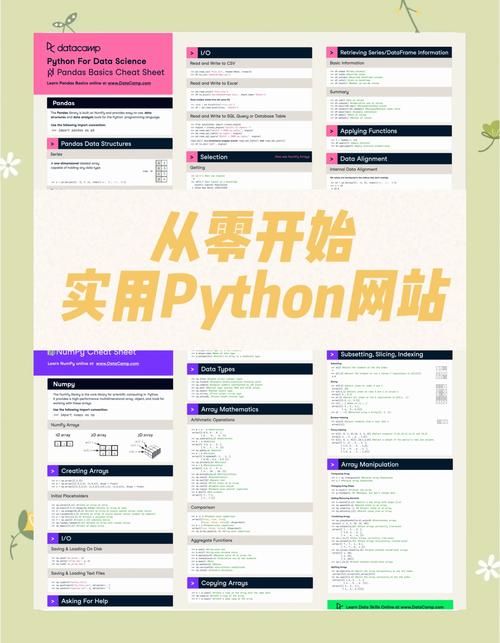 如何利用Python为CMS系统开发高效社交分享功能？