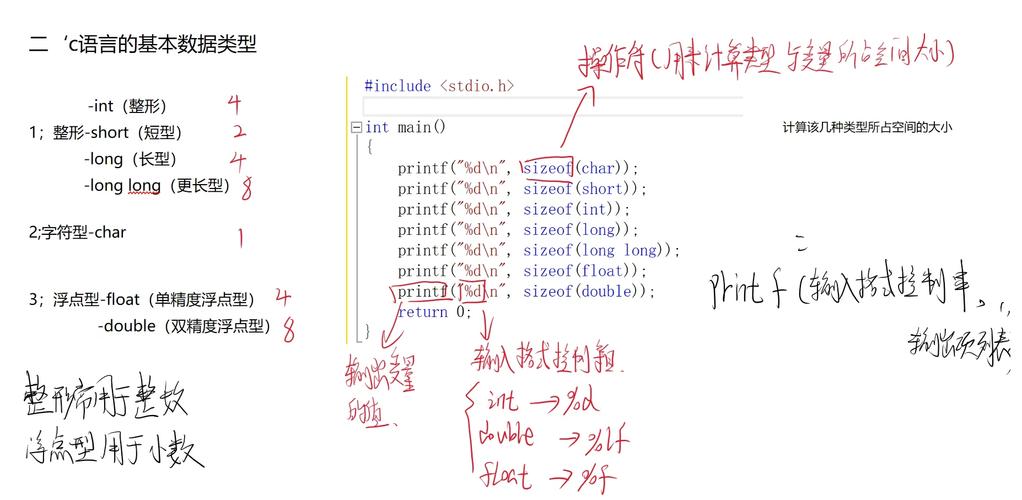C语言中整型数据类型有哪些及其特点和应用场景？