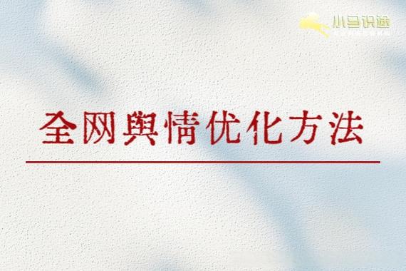 如何通过香港优化公司创新策略，有效助力网络营销优化？